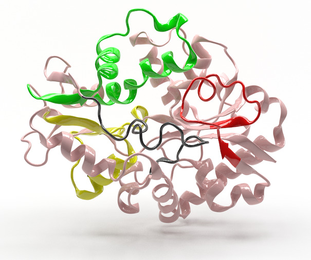 Fancy molecule