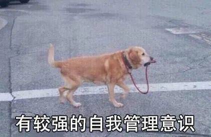 有较强的自我管理意识